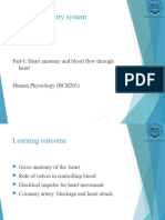 Circulatory Sys