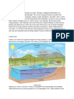 Biochemical Cycles