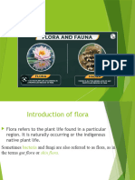 Presentation Flora Fauna