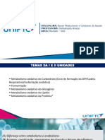 BMCS - Aula Revisão PDF