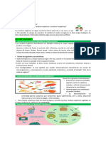 Tarea 31