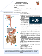 Lectura 7 Cyt 2° Grado