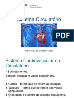 Sistema Circulatório - G