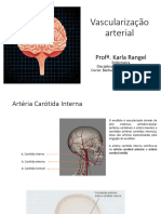 Introdução A Neuroanatomia II