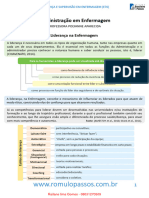 Liderança Na Enfermagem Romulo