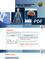 Sesion 4 - Unidad III Analizamos La Organizacion Del Sistema Nervioso