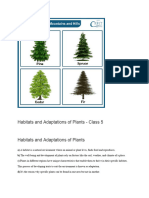 Habitats and Adaptations of Plants