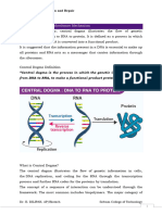 Dna Replication & Repair