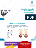 Capacitacion de Anemia