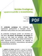 Pirâmides Ecológicas