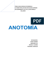 Informe de Anatomia