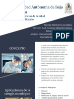 S14 - Cirugia Oncologica-E. Alexander Geronimo Hdz-8vo-2024-1