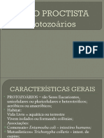 Protozoários