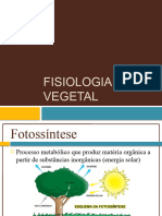 Fisiologia Vegetal