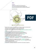 Bio PDF