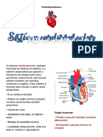 Sistema Cardiovascular