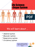 Musculoskeletal System