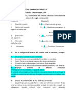 Anatomia Interciclo