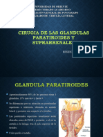 Cirugia de Las Glandulas Paratiroides y Suprarrenales