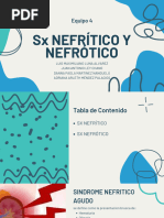 Eq 4 Fisio SX Nefrítico y Nefrótico