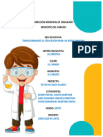 Informe Experimento Purificador de Agua Profe Sindi