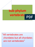 Sub Phylum Vertebrata