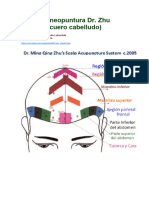 Craneopuntura DR Zhu