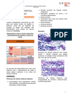 HSIL - Lesão Intraepitelial de Alto Grau (Papanicolau)