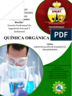 Informe Quim