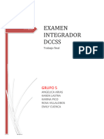 Examen Integrador DCCSS Grupo 5