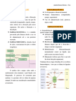 Farmacologia N1 - Rogelio