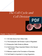 11-Cell Cycle and Division