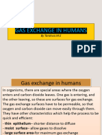 Gas Exchange in Humans