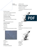 Quiz de Revisão - Biologia Da Célula