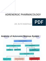 2.adrenergic Pharm