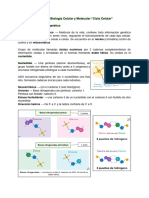 Resumen Biología Celular y Molecular "Ciclo Celular"