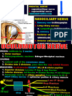 Anatomy High Yield Points