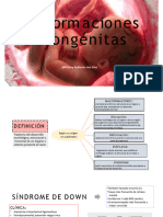 Malformaciones Congénitas