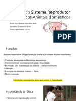 Aula 5 - Anatomia Aparelho Reprodutor Feminino