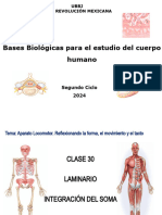 BB. Clase 30. Laminario Integración SOMA