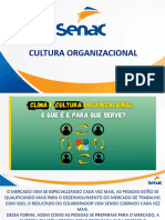 Cultura Organizacional Ok