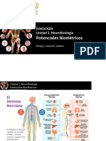 Unidad 2 - Tema 3 - El Impulso Nervioso