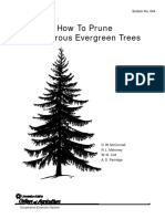 How To Prune Coniferous Evergreen Trees BUL0644