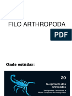 Tema1 Arthropoda