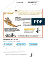 Plan Lector - Leemos El Texto Un Regalo Mochica Los Caballitos de Totora