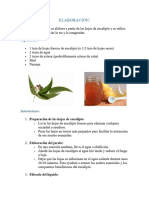 Elaboracion Del Jarabe de Eucalipto