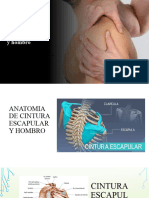 Evaluaciones y Pruebas Específicas de Cintura Escapular y Hombro.