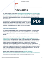 Fondos Indexados: Investor - Gov