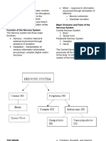 Nervous System Reviewer 1