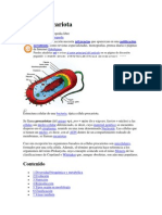 Celula Eucariota y Pro Car Iota